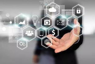 创始人丨发挥数字营销的互联网作用，服务实体经济与信息服务的融合创新